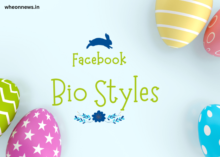 facebook bio style